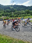 IMG-20220626-WA0080.jpg