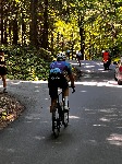 IMG_1208.jpeg