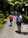 IMG_1215.jpeg