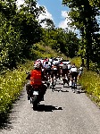 IMG_1216.jpeg