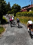 IMG_1222.jpeg