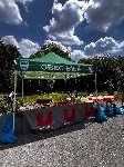 IMG_1234.jpeg