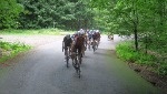 IMG_4630.JPG