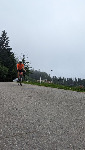 PXL_20230624_115302159.jpg